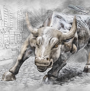 Boğa Piyasası Nedir ? 5 bull-3112617_1280