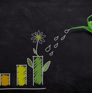 Temettü Nedir Nasıl Hesaplanır ? Temettü Nasıl Alınır ? 2 investment-5299600_1280