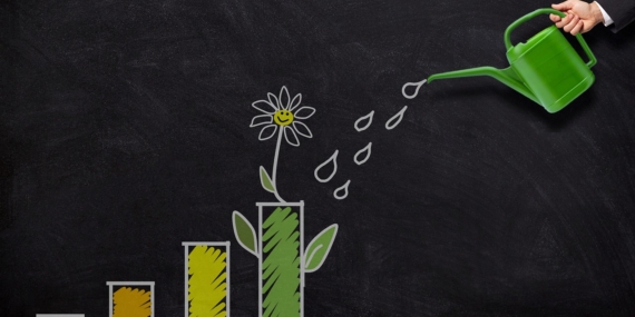 Temettü Nedir Nasıl Hesaplanır ? Temettü Nasıl Alınır ?