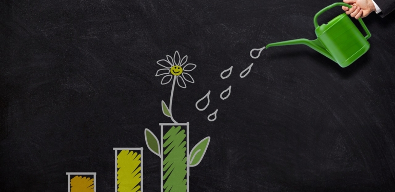 Temettü Nedir Nasıl Hesaplanır ? Temettü Nasıl Alınır ? 6 investment-5299600_1280