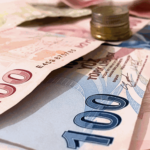 Stagflasyon Nedir ? Stagflasyon Sebepleri Nelerdir ? 8 lira-7982667_1920