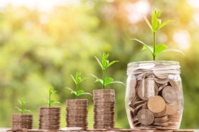 Bist Temettü Endeksi (XTMTU) Nedir ? En Yüksek Temettü Veren Hisseler 51 money-2724241_1280