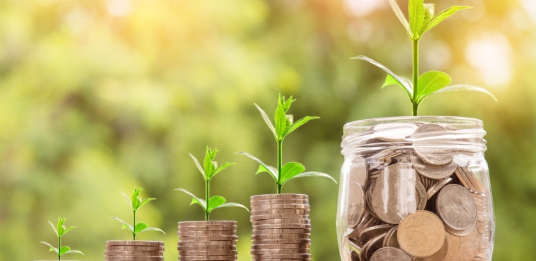 Bist Temettü Endeksi (XTMTU) Nedir ? En Yüksek Temettü Veren Hisseler 1 money-2724241_1280