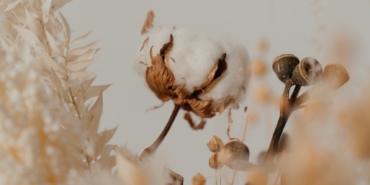 Pamuk Borsası Nedir ? Pamuk Nasıl Alınır ? 6 pexels-cottonbro-studio-4273425