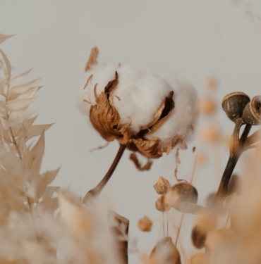 Pamuk Borsası Nedir ? Pamuk Nasıl Alınır ? 2 pexels-cottonbro-studio-4273425