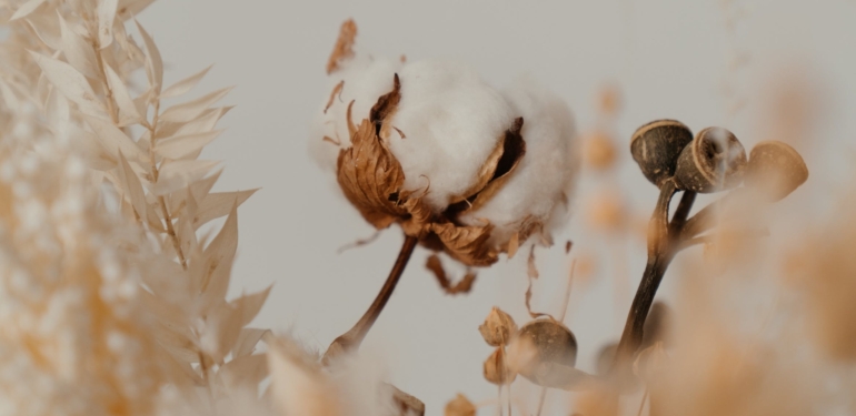 pexels-cottonbro-studio-4273425