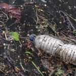 Plastik Kirliliğine Karşı En Yenilikçi Çözüm ‘Biyo-Transformasyon’’ Türkiye’de 20 Resim1