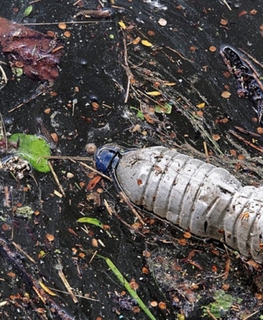 Plastik Kirliliğine Karşı En Yenilikçi Çözüm ‘Biyo-Transformasyon’’ Türkiye’de 4 Resim1
